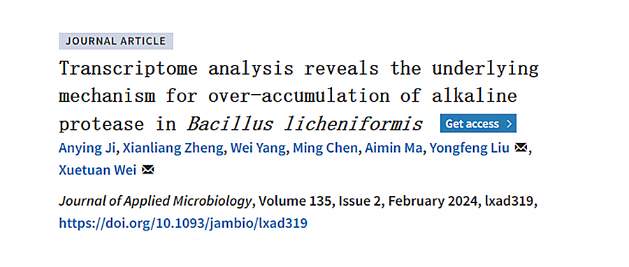 基于GenoLab M的转录组测序揭示地衣芽孢杆菌高产碱性蛋白酶的潜在机制
